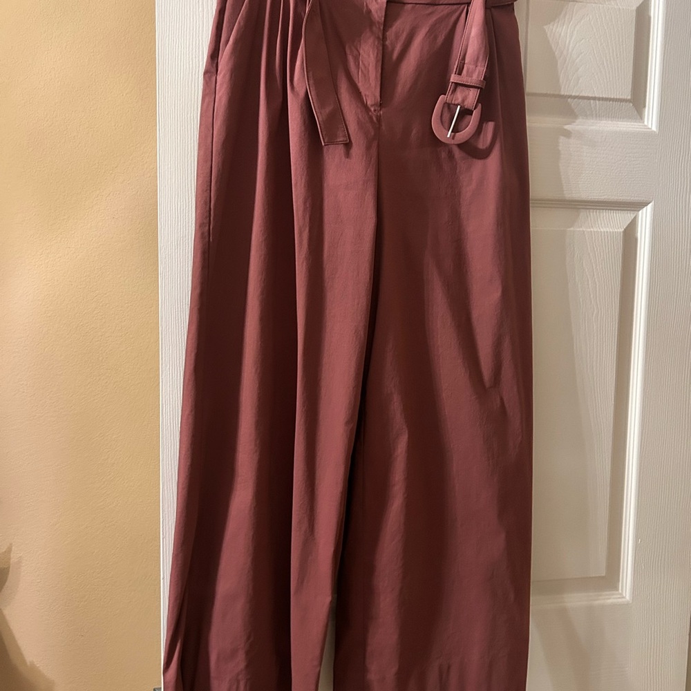 Express Terracotta Button-Up Pants